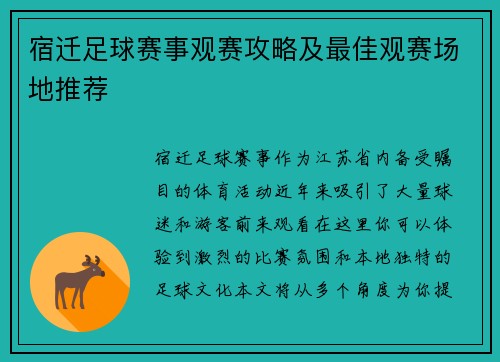 宿迁足球赛事观赛攻略及最佳观赛场地推荐