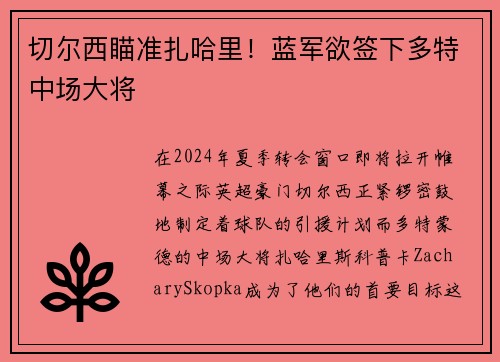 切尔西瞄准扎哈里！蓝军欲签下多特中场大将